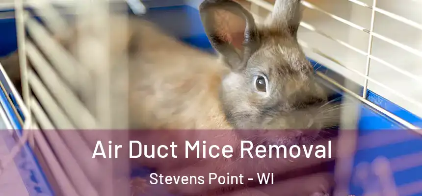 Air Duct Mice Removal Stevens Point - WI