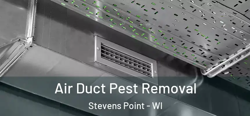 Air Duct Pest Removal Stevens Point - WI