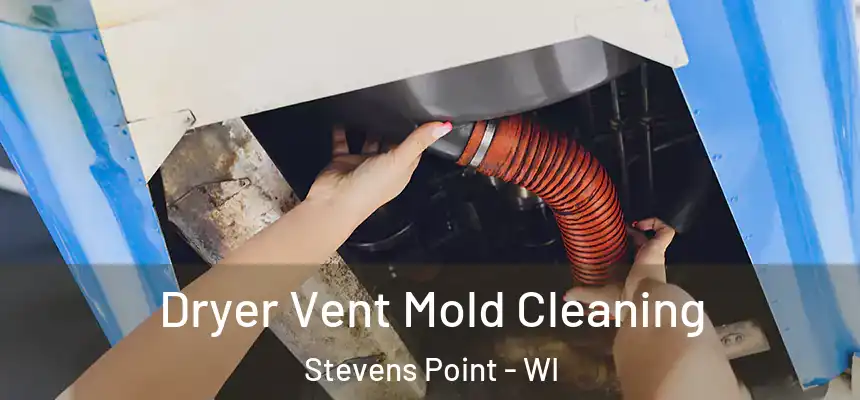 Dryer Vent Mold Cleaning Stevens Point - WI