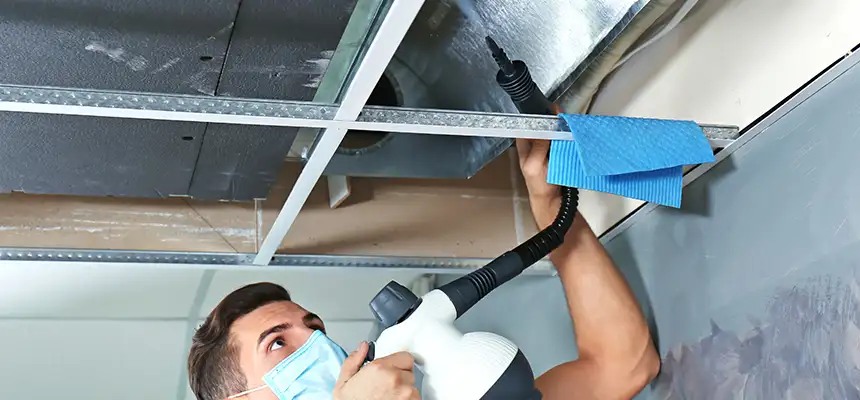 Our Air Duct Rodent Removal Services in Stevens Point, WI