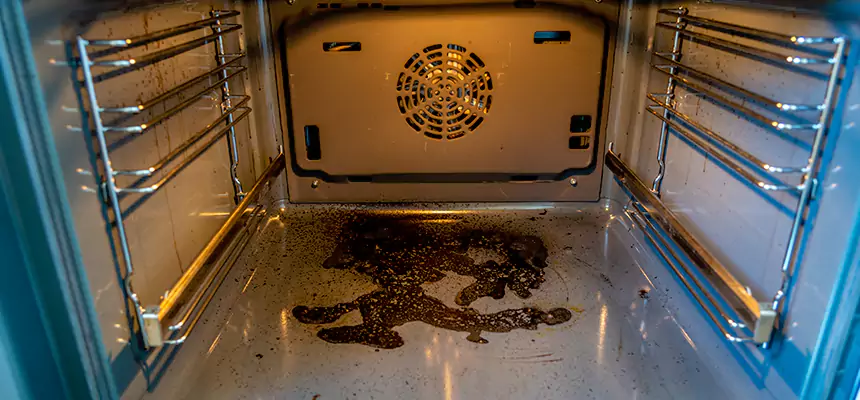 Our Dryer Vent Mold Cleaning Services in Stevens Point, WI