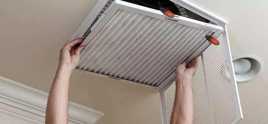Our Insect Removal from Air Ducts Services in Stevens Point, WI