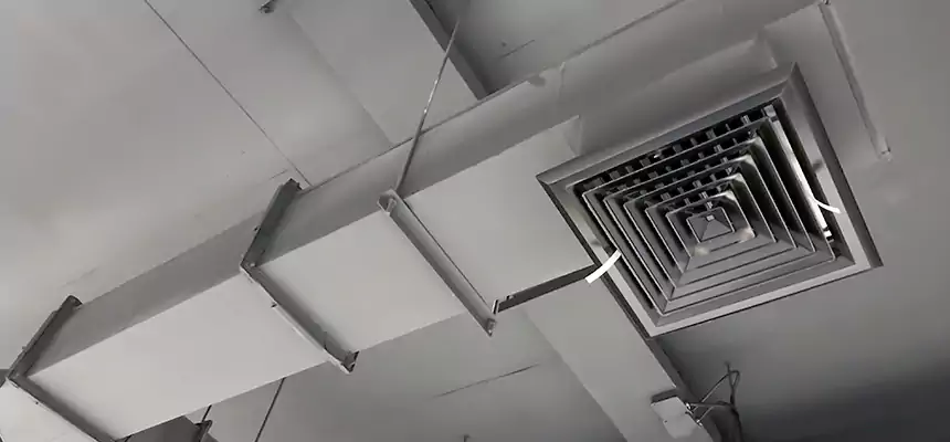 Our Rodent Droppings In Vents Services in Stevens Point, WI