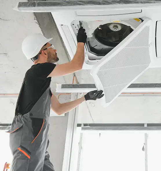 About Air Duct Rodent Removal in Stevens Point, WI