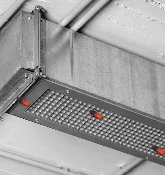 Affordable Insect Removal from Air Ducts in Stevens Point, WI