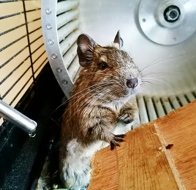 Why Homeowners & Businesses Trust Us Stevens Point, WI